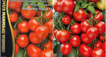 Charakteristika a popis odrůdy rajčat maryina roshcha, její výnos